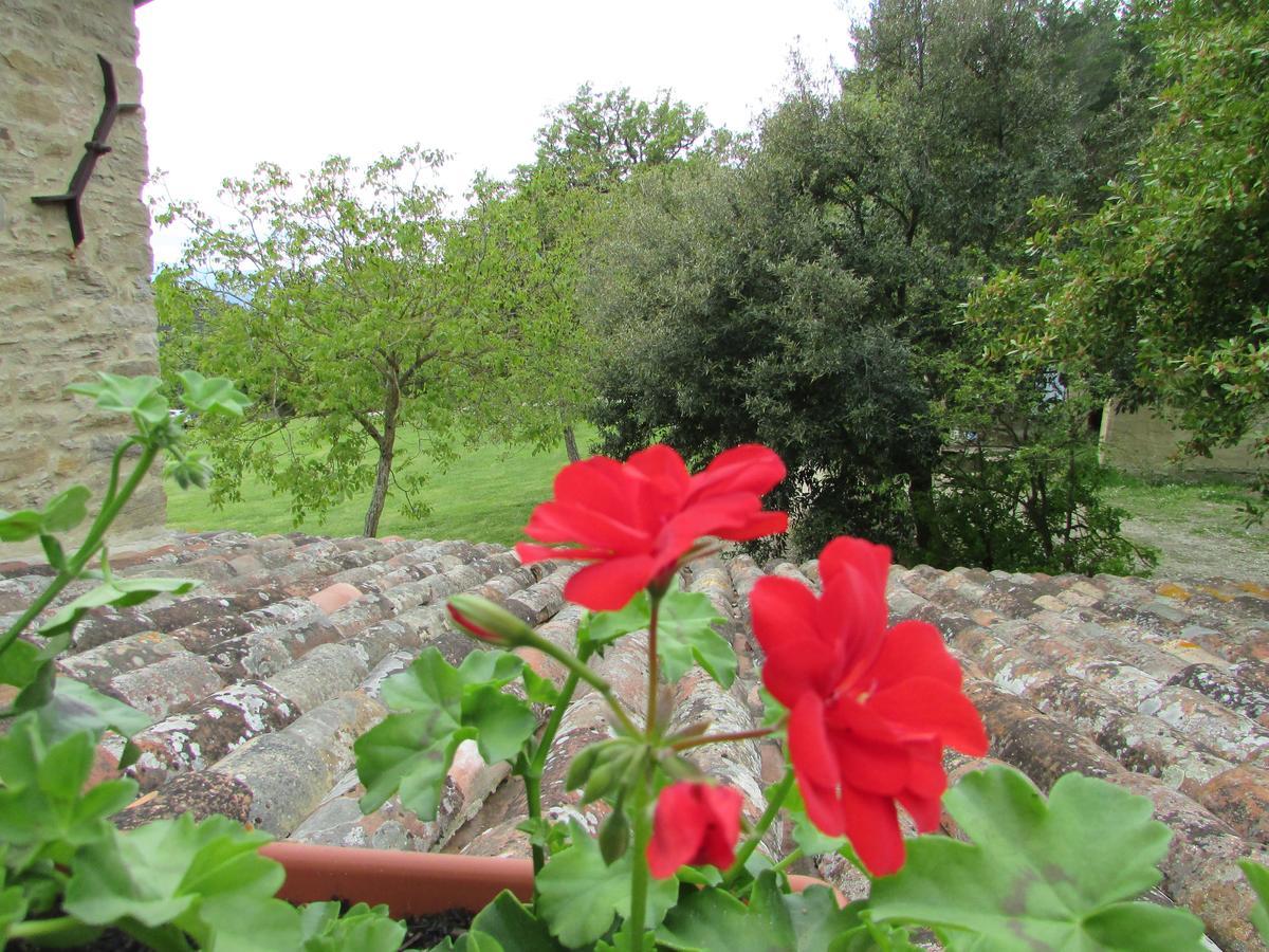 Bed and Breakfast Le Querce Di Campolungo San Giustino Zewnętrze zdjęcie